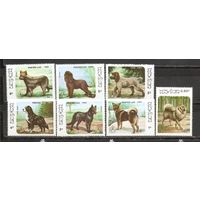 ФФ2 Лаос 1986 Собаки