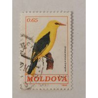 Стандартный выпуск. Птицы - Обыкновенная иволга (Oriolus oriolus)