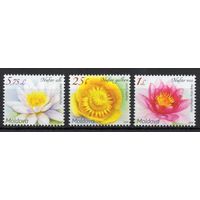 Молдова 2019. Флора Цветы 3 марки (705)