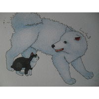 ОТКРЫТКА ПРОШЕДШАЯ ПОЧТУ ТАЙВАНЬ ПЕС И КОТ