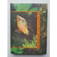 В.Г.Серов Волшебный мир аквариума. 1990 г.