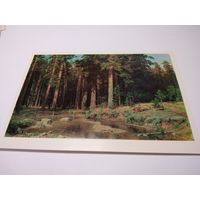 Открытка. И. И. Шишкин. Корабельная роща.