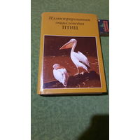 Я.Ганзак Иллюстрированная энциклопедия птиц, Прага 1974г.
