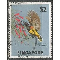 Сингапур. Птицы. Нектарница. 1963г. Mi#67.