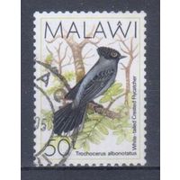 [1219] Малави 1988. Фауна.Птицы. Гашеная марка. 4