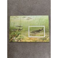 Беларусь 1997. Стерлядь