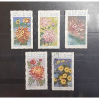 Вьетнам. Флора. Цветы (263)