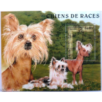 Камбоджа. 1997 год. Фауна. Собаки. Блок