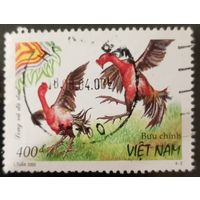 Вьетнам 2000. Петушиные бои