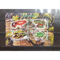 Чад. 2011 год. Фауна. Земноводные. Лягушки (1107)