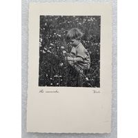 Девочка в ромашках. Чехия. 1948 год.