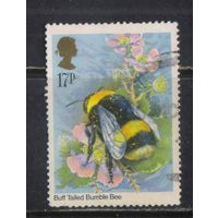 Великобритания 1985 EII Шмель #1022