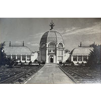 Открытое письмо Изогиз Всесоюзная сельскохозяйственная выставка Павильон Цветоводства и озеленения 1954 тираж 40 000