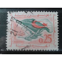 Алжир, 1963. Возвращение к миру