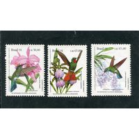 Бразилия. Охрана тропических лесов. Калибри