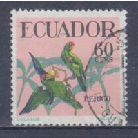 [881] Эквадор 1958. Фауна.Птицы.Попугаи. Гашеная марка.