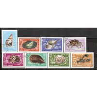 ФФ2 Румыния 1966 Ракушки гаш