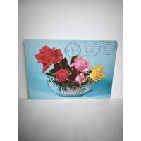 Открытка, б/у. 1979г. 8 марта. Фото Б. Круцко. 14