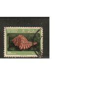 Оман-1982 ,(Мих.233)  гаш. ,  Морская Фауна,Раковины