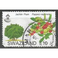 Свазиленд. Деревья. Эритрина. 2007г. St#789.