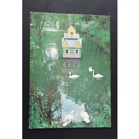 Парк им. Луначарского. Лебединый пруд. Гомель. Чистая #0257-V2P129