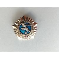 ГТО 2 степень. Н-96.