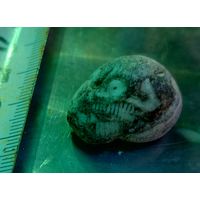 Камешек камень напоминает череп skull-shaped stone