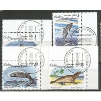 Куба. Морские животные. 1980г. Mi#2483-86. Серия.