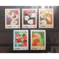 Куба. 1988 год. Флора. Цветы (226)