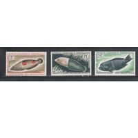 Новая Каледония-1965(Мих.415 -417 )  **  , Морская  Фауна,Рыбы (полная серия)