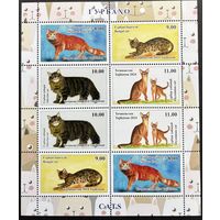 Таджикистан 2024 .Фауна. Кошки Малый Лист