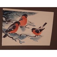 Чистая. Двойная. С Новым Годом! Снегири Каневский 1987 г.