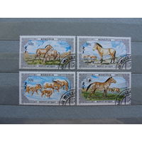 Продажа коллекции с 1 рубля! Фауна на почтовых марках мира.