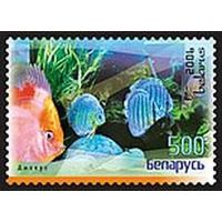 Марки "Аквариумные рыбы. Дискус красный", "Дискус фиолетовый", "Дискус зеленый", "Дискус желтый"