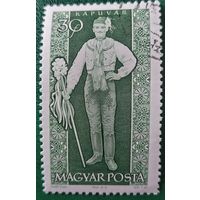 Венгрия 1963. Традиционные наряды. Kapuvar. Марка из серии