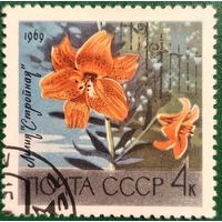 СССР 1969. Флора. Цветы. Лилия Стройная. Марка из серии