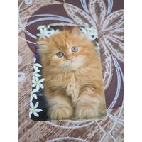 Календарик,коты,украина,2011