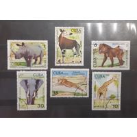 Куба. 1978 год. Фауна. Собаки (654)