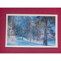 С Новым Годом! Чверткина 1976 г. Чистая. Кр1.