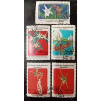 Мадагаскар 1985. Флора. Цветы