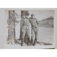 Фото в коллекцию