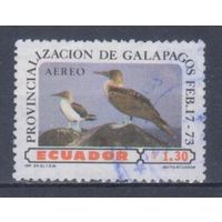 [1446] Эквадор 1973. Фауна.Птицы. Гашеная марка.