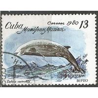 Куба. Морские животные. Клюворыл. 1980г. Mi#2485.