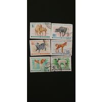 Монголия детеныши животных 6шт
