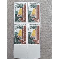 США 1958 квартблок