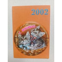 Календарик 2002