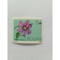 Марки  Цветы  Польша 1984   1 шт. -  0,40 руб.