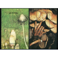 1990 г. ГАЙАНА. Грибы   MNH