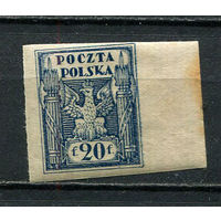 Польша - 1919 - Герб 20F - [Mi.93x] - 1 марка. MH.  (Лот 59Gu)-T4P3