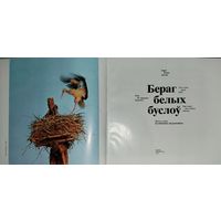 БЕРАГ БЕЛЫХ БУСЛОУ.  1977 г.  Фотоальбом с чудесной беларусской природой....